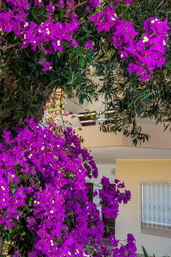 Camilla Apartment Albufeira Ngoại thất bức ảnh